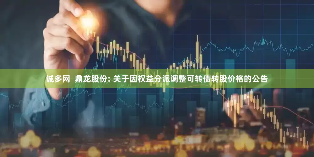 诚多网  鼎龙股份: 关于因权益分派调整可转债转股价格的公告